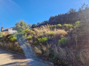 Vistas